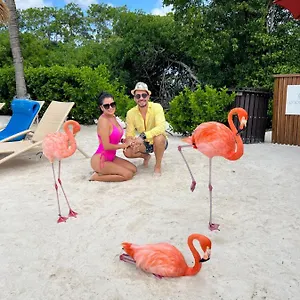 Apartamento Bavaro Suites Pool Punta Cana
